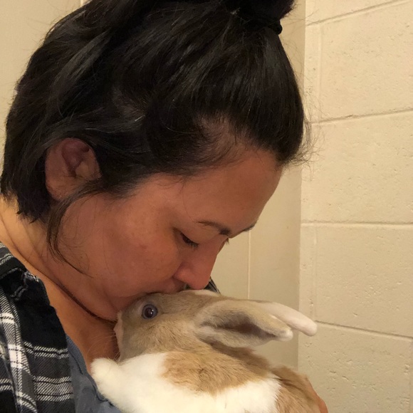 Meet your Posher, Dawn - Picture 1 of 1